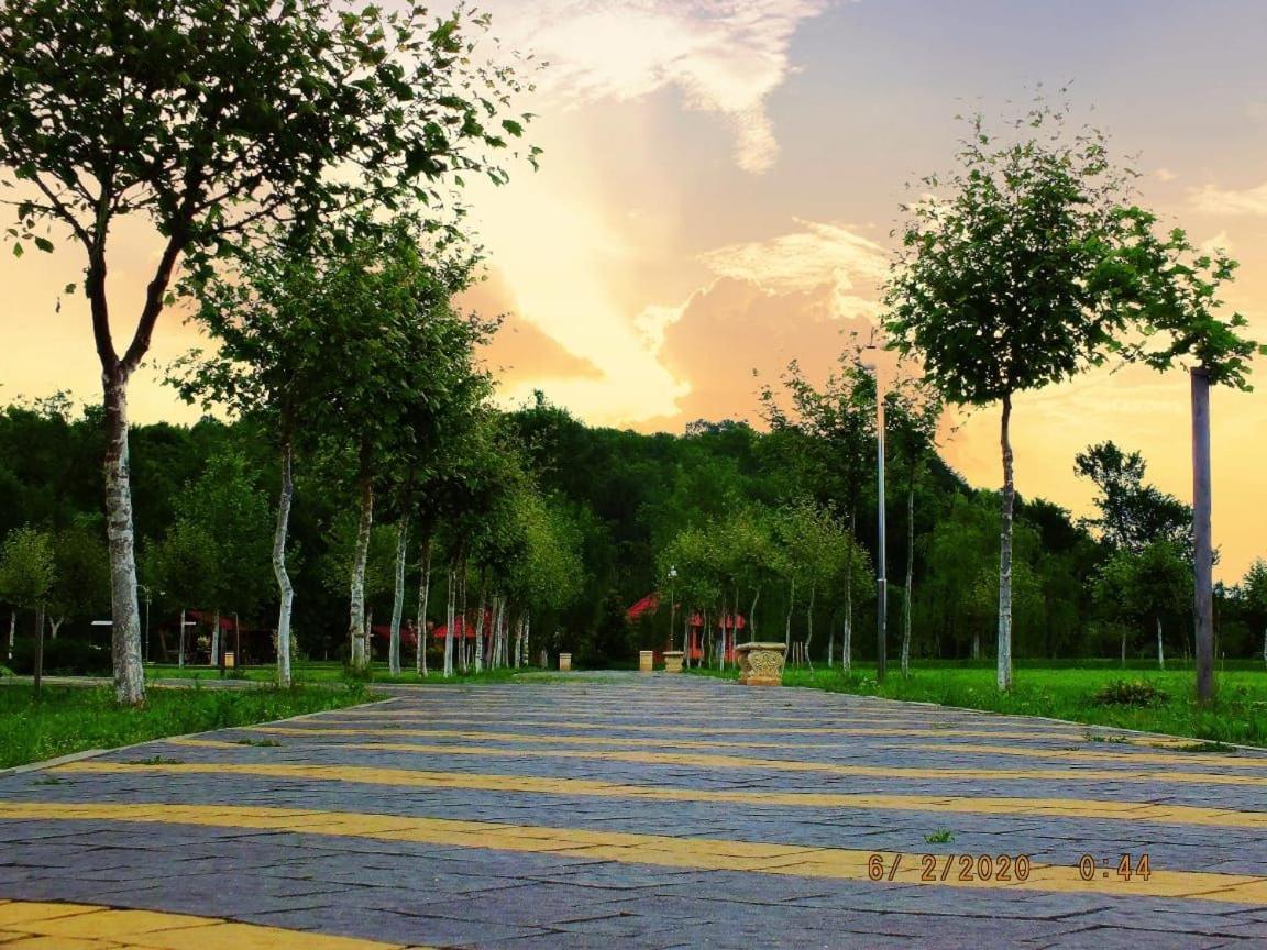 Illara Spa Hotel Irshava Luaran gambar