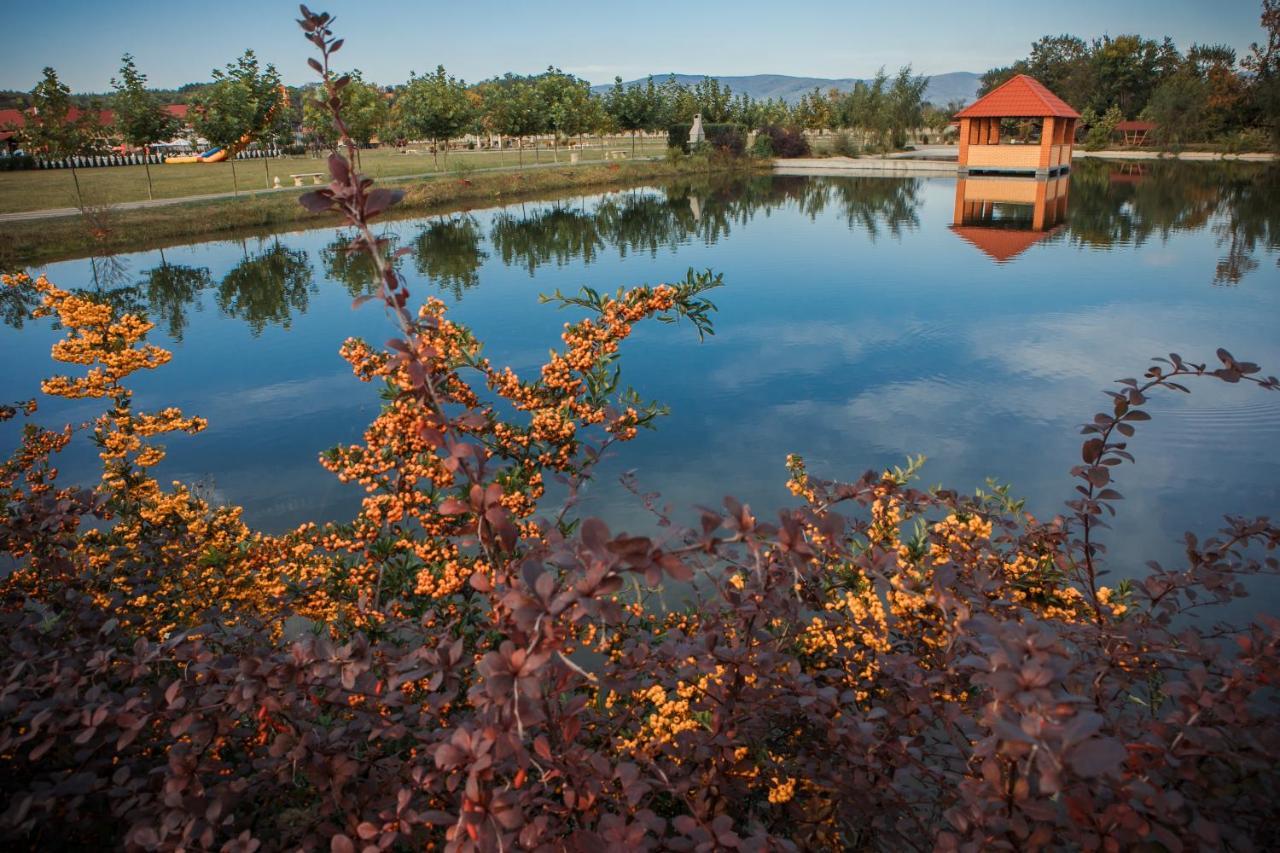 Illara Spa Hotel Irshava Luaran gambar