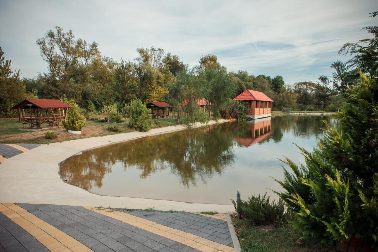 Illara Spa Hotel Irshava Luaran gambar