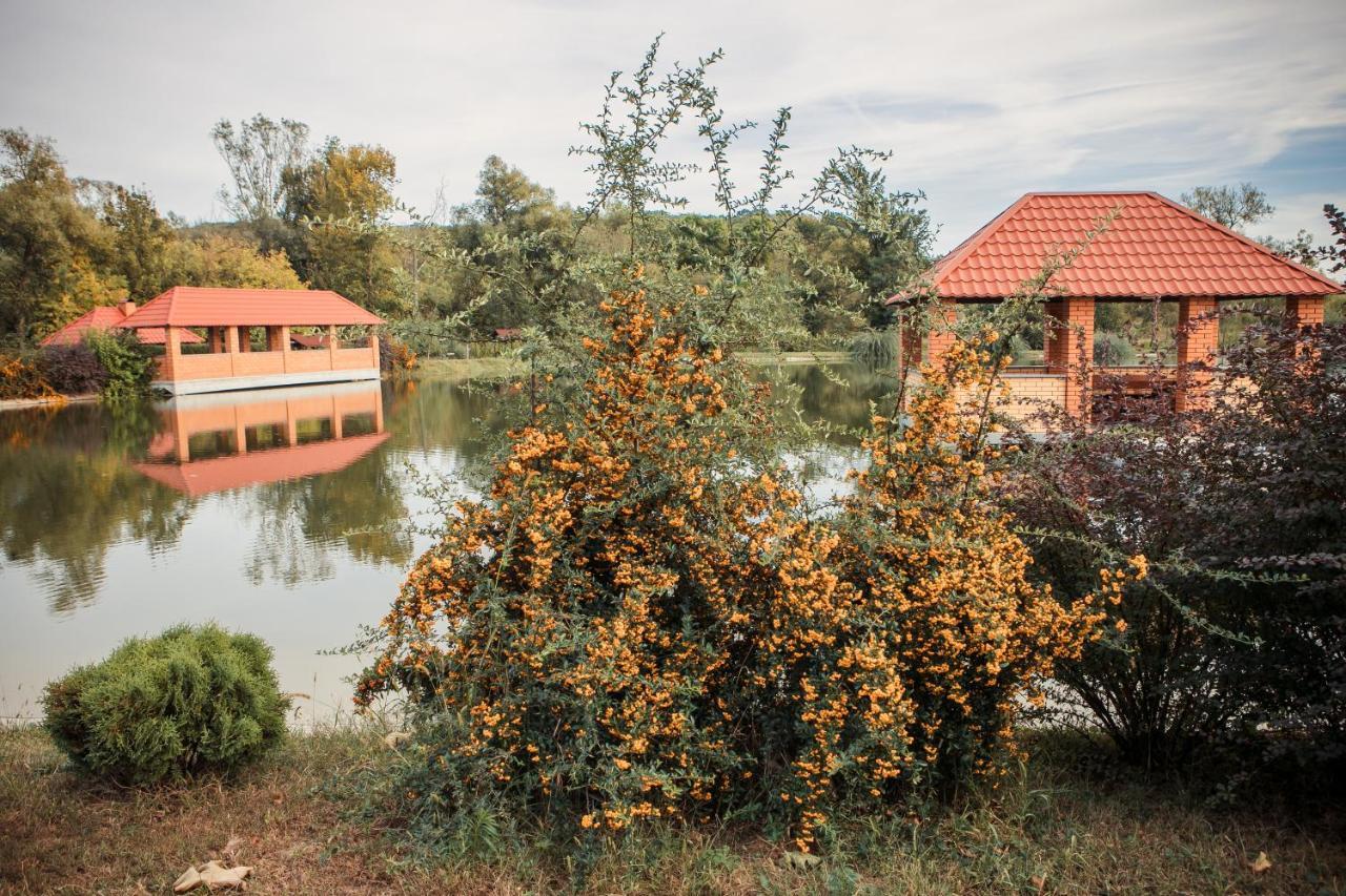 Illara Spa Hotel Irshava Luaran gambar